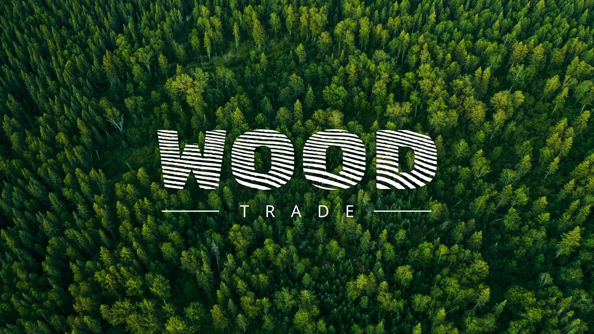 Разработка интернет-магазина компании «Wood Trade» в Аниве