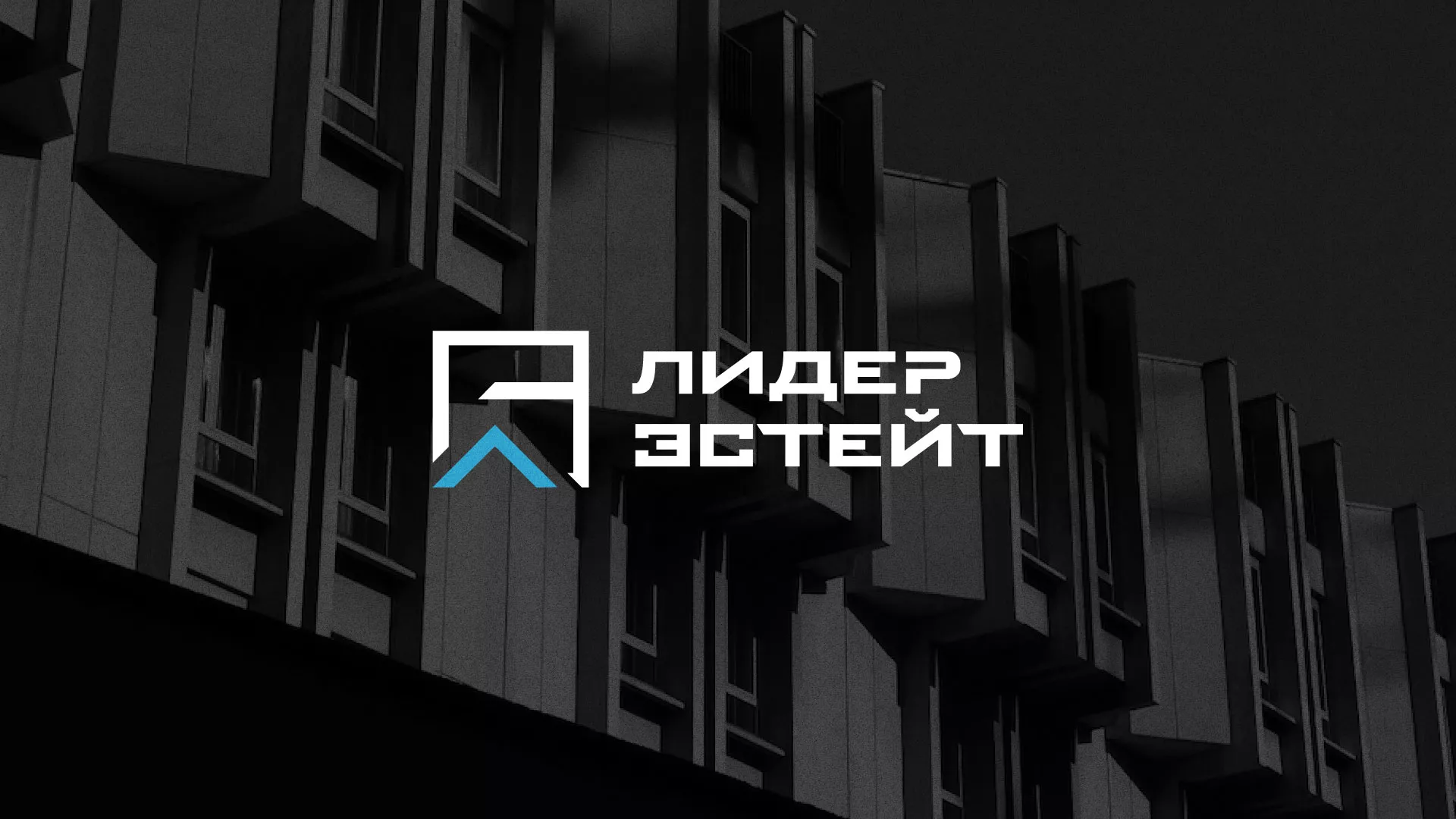 Разработка логотипа агентства недвижимости «Лидер Эстейт» в Аниве